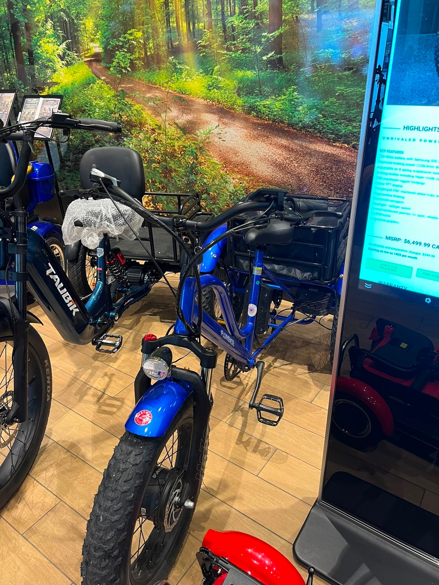 Daymak Florence Fat Tire Trike (Trade In)