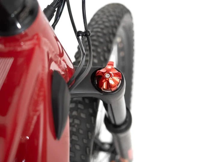 Taubik Alps Mountain Bike - Image 11