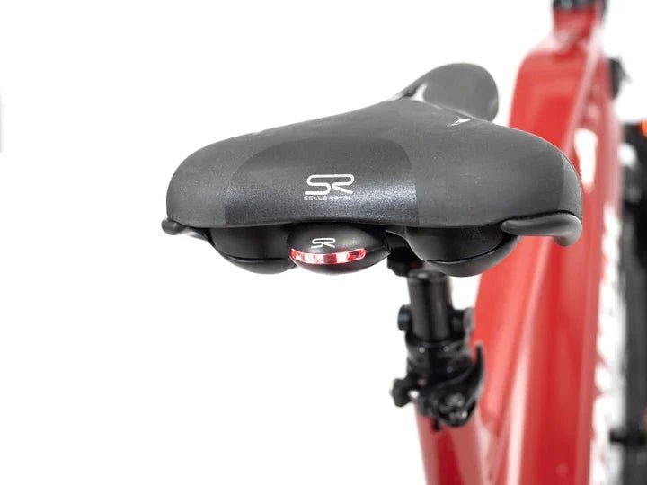 Taubik Alps Mountain Bike - Image 9