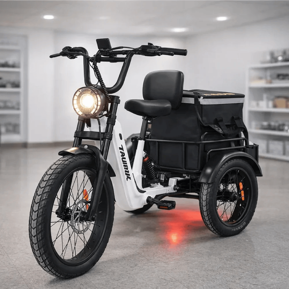 Taubik Axis Trike - Image 4