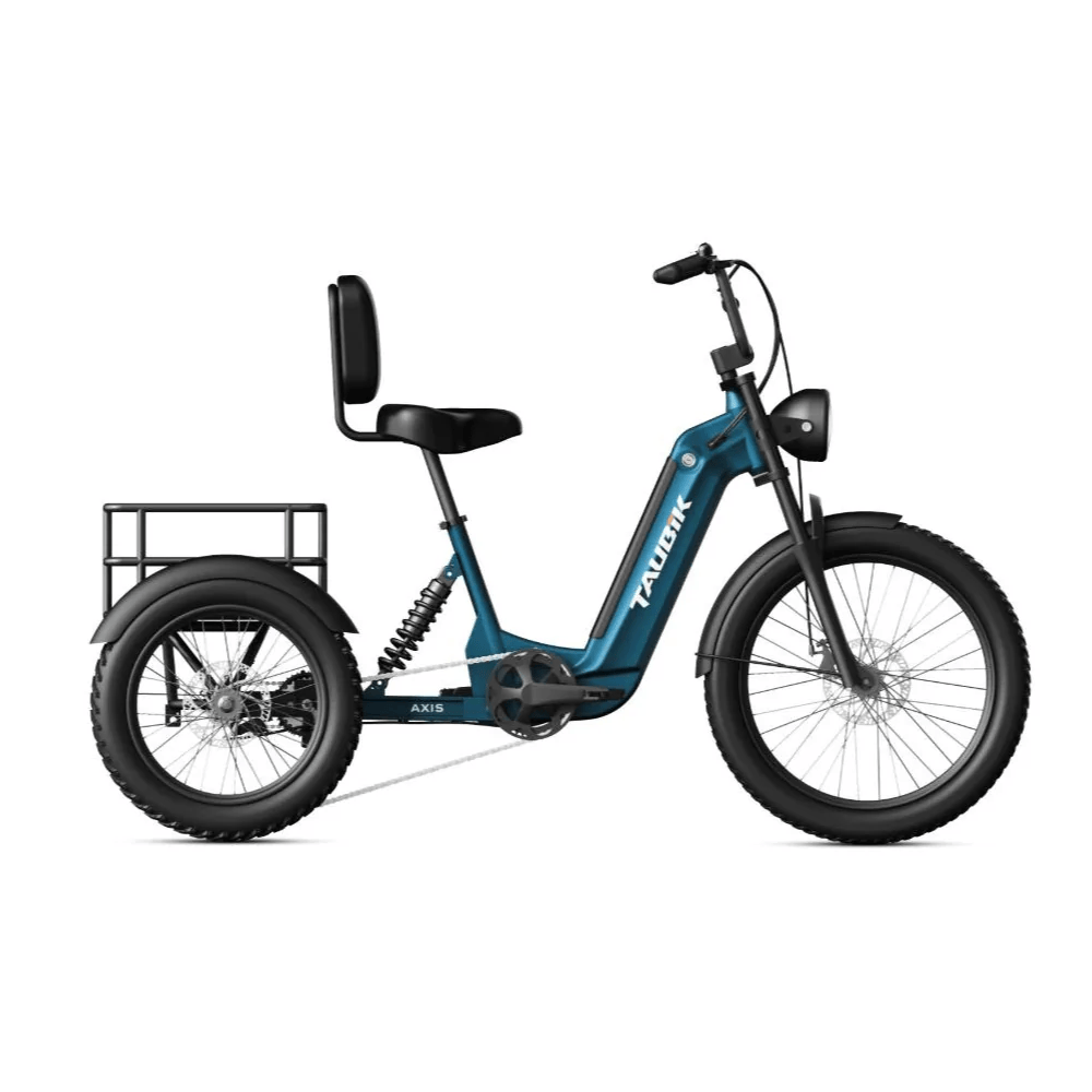 Taubik Axis Trike - Image 2