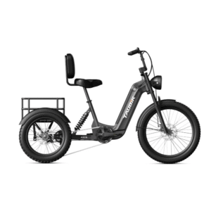 Taubik Axis Trike